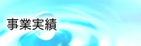事業実績
